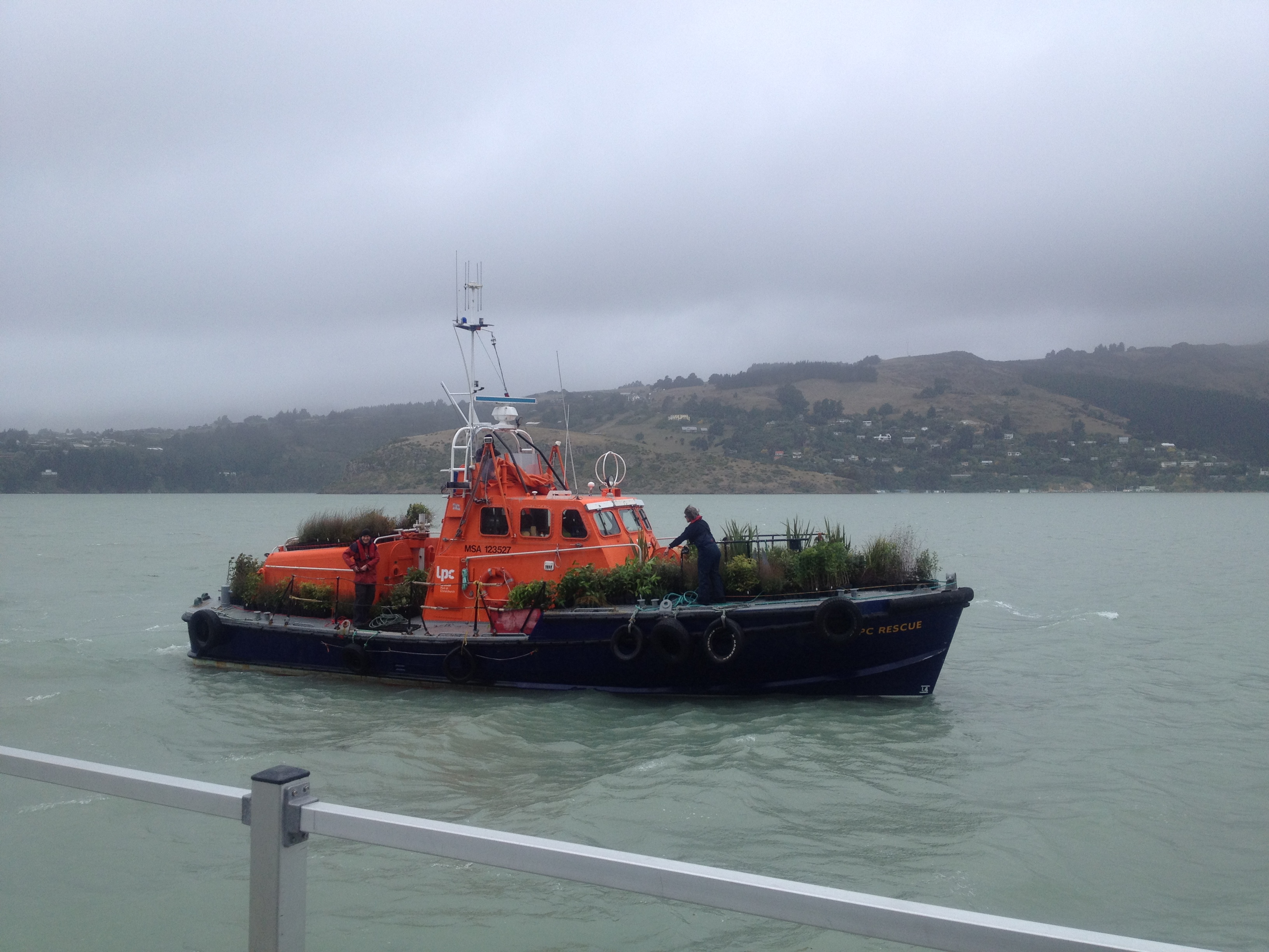 Quail Island (2) Lyttelton Port Company