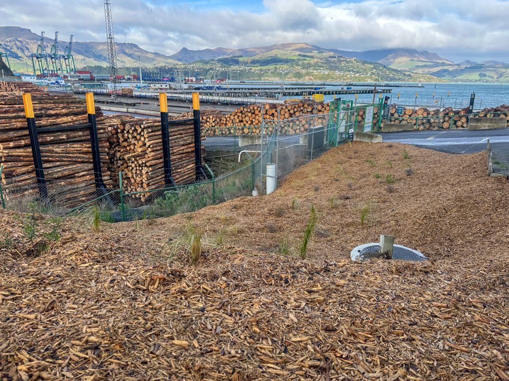 The space of land after the planting work beside Fisherman’s wharf.